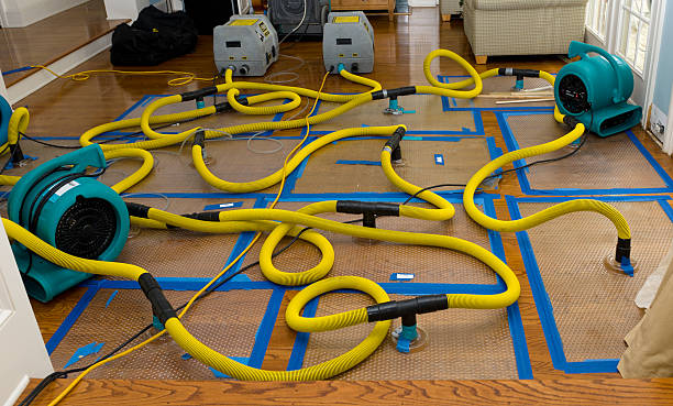 Professional Sewage Cleanup technician working in Franktown, CO